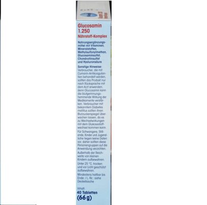 Glucosamine 1 250, 40 pc – Image 4
