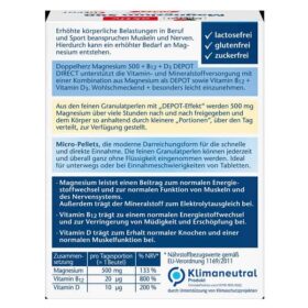 fiche produit de doppelherz magnesium 500 872088