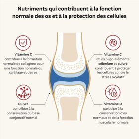 Collagène 11000 Plus, 30 Flacons, Doppelherz – Image 2