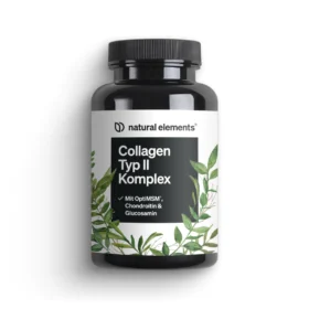 Collagen Type II Complex, 90 Gélules, Natural Elements