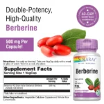Berbérine 500mg, 60 Gélules, Solaray – Image 2