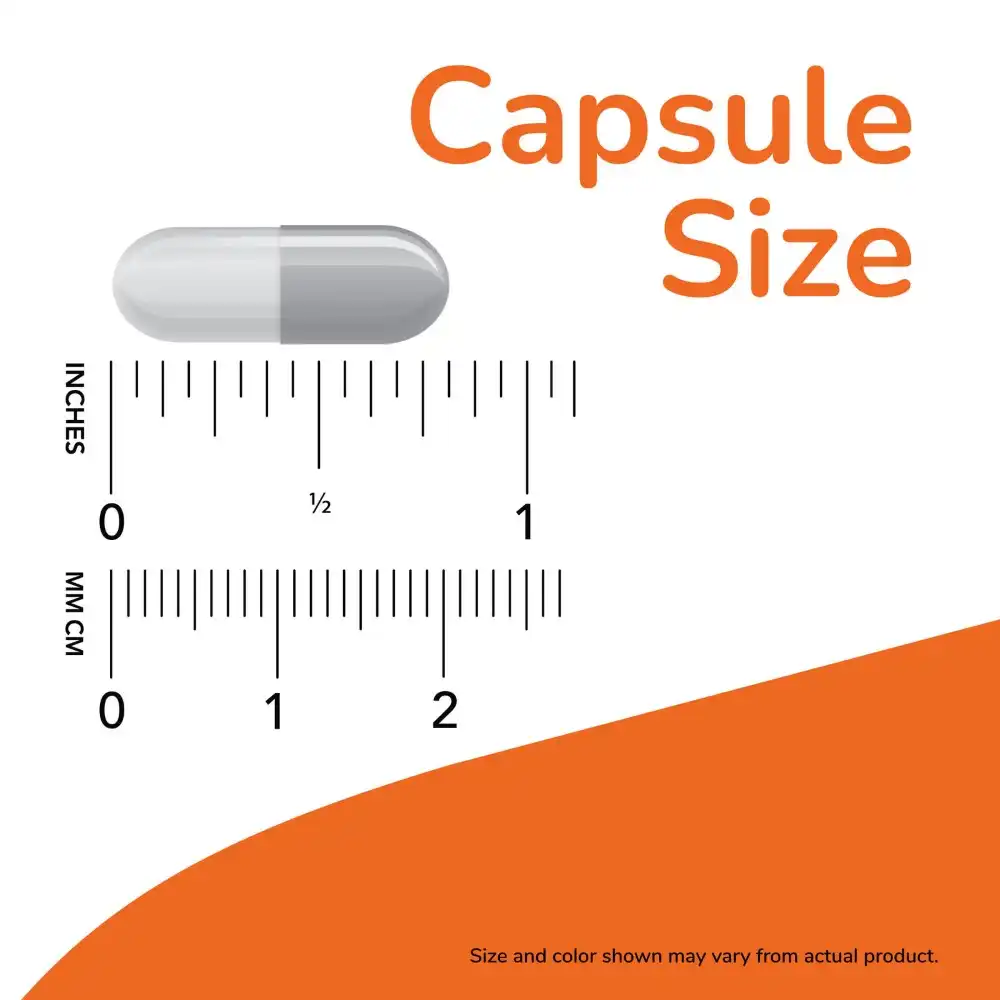 gelules-NOW-Acetyl-L-carnitine-500-mg Acétyl-L-Carnitine, 500 mg, 100 Gélules, NOW – Image 3